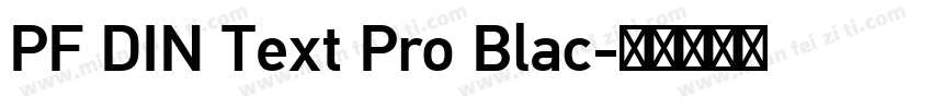 PF DIN Text Pro Blac字体转换